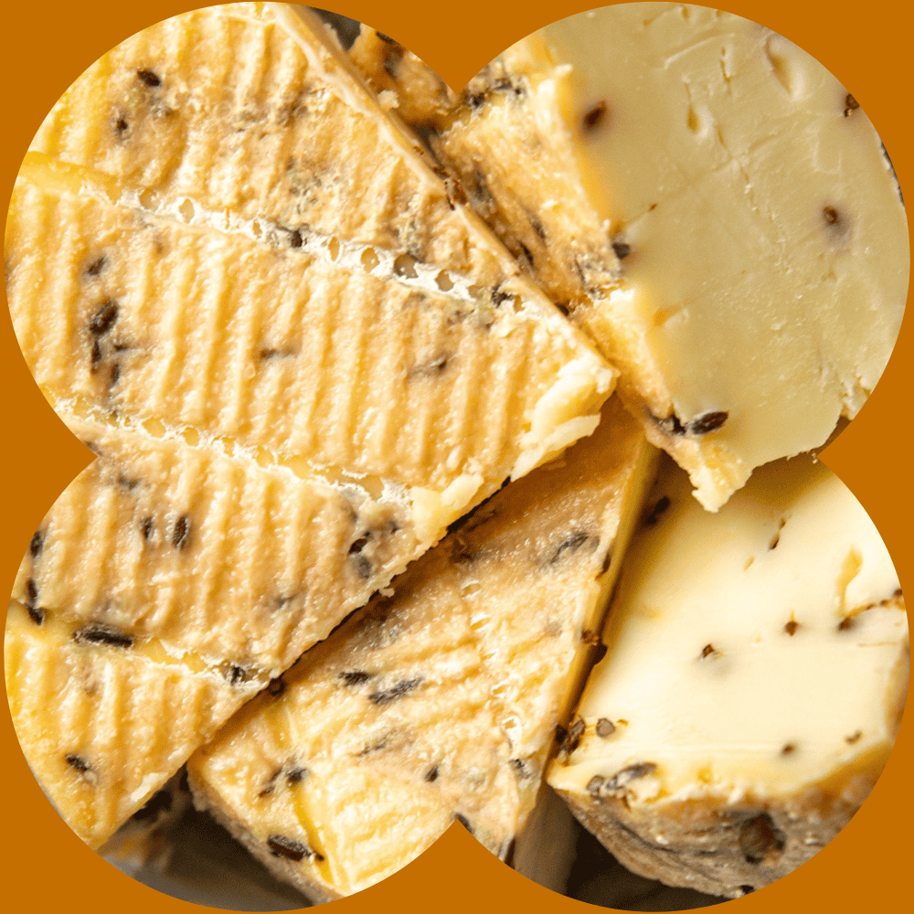 Fromage vieux et aromatisé, variétés artisanales, spécialité fromagère française, dégustation fromagère, produits laitiers bio.